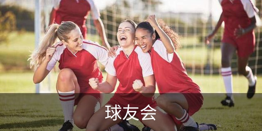 球友会简介